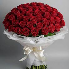 Букет 101 Красная роза Блэк Мэджик в Новогагатли