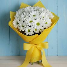 Букет цветов из:  Хризантемы #REPLACE_PRED# Новогагатли