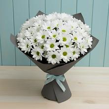 Букет цветов из:  Хризантемы в Новогагатли