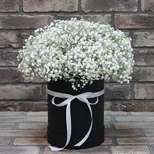 Цветочная композиция из Гипсофила в шляпной коробке в Новогагатли